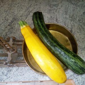 Zucchini demeter gelb/grün klein per Stück