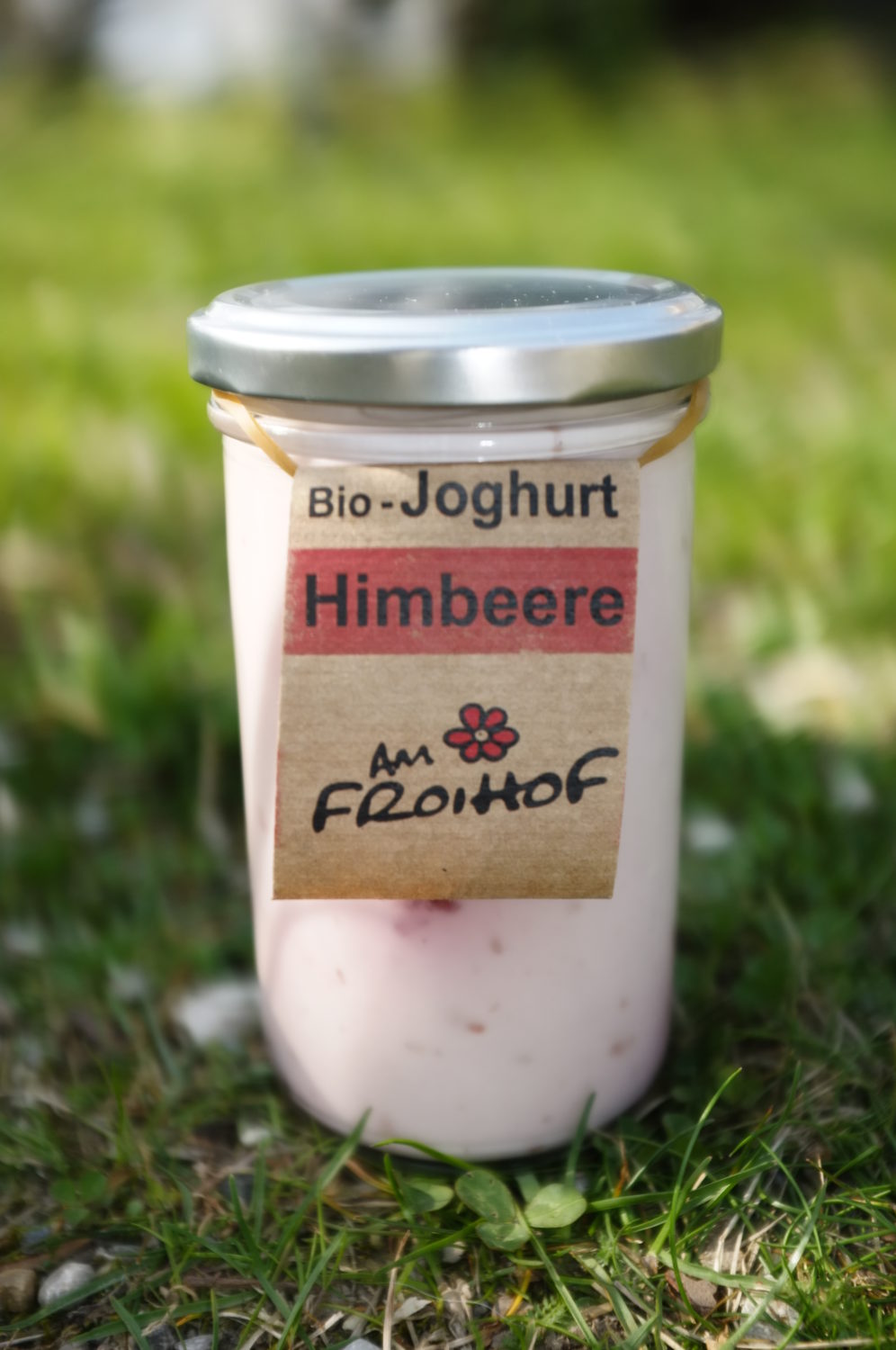 Himbeerjoghurt 250g kalbfreundlich Froihof – SpeiseLokal!