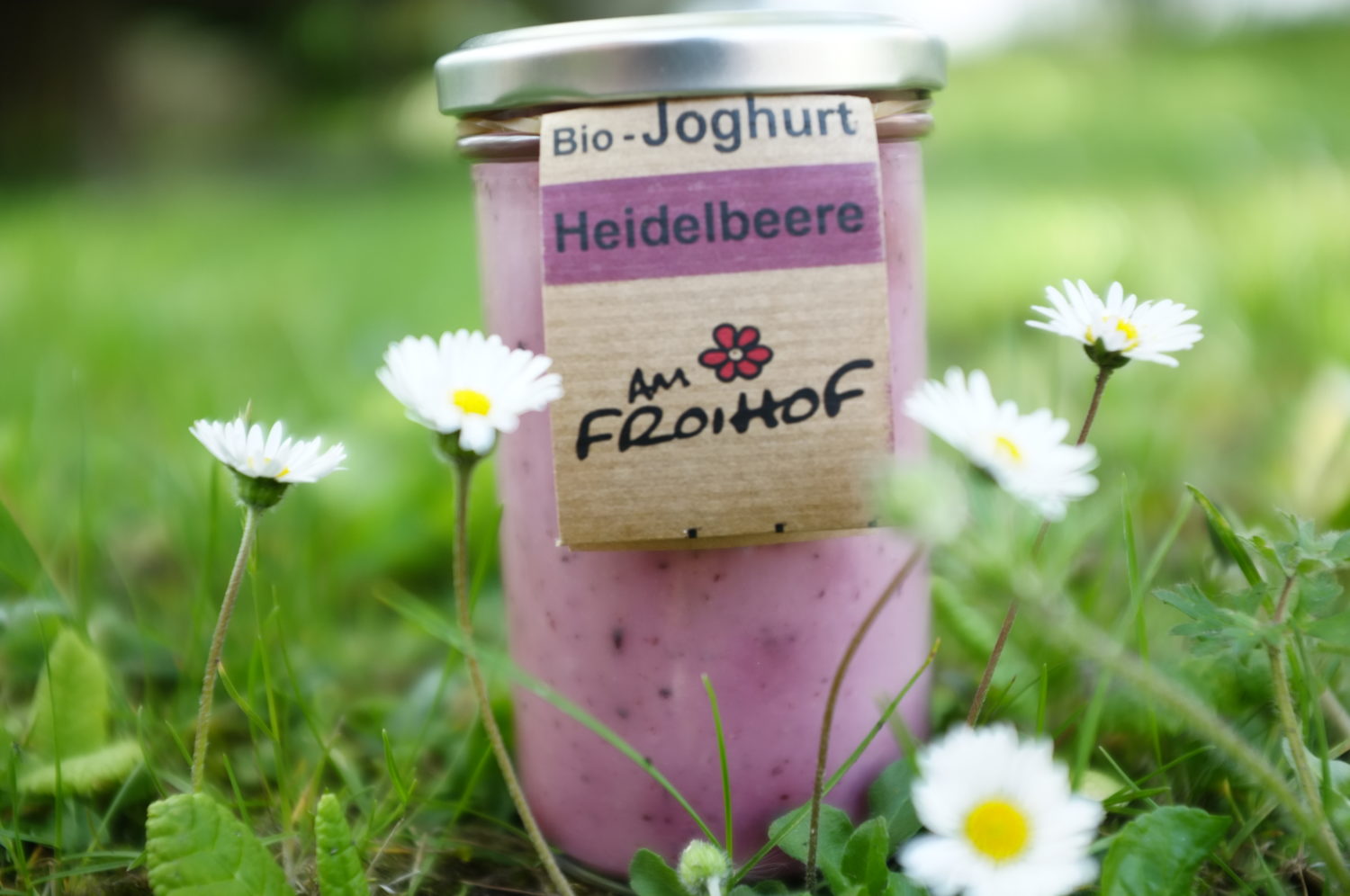 Heidelbeerjoghurt 250g kalbfreundlich Froihof – SpeiseLokal!