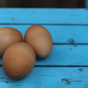Eier naturbunt 10 Eier