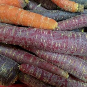 Karotten violett 500g Maierhofer