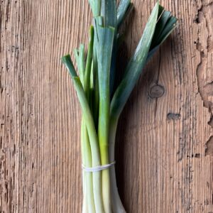 Lauch Grünzeug vom Feld