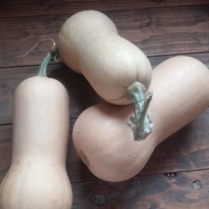 Kürbis Butternuss Grünzeug