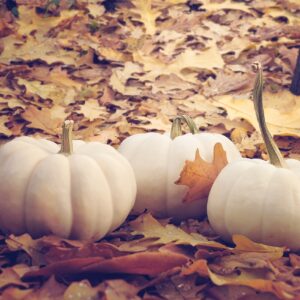 Kürbis Mini-Muskat ca. 2kg