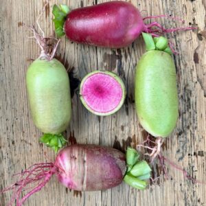 Rettich rosa ‚Wassermelone‘