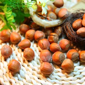 Krem Haselnussmus mit Honig Biobalkan GROSS