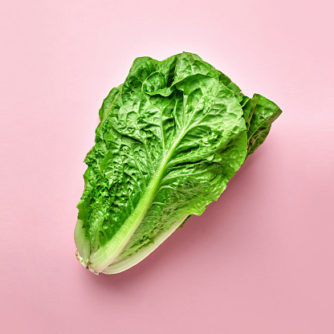 Romano salad on colored background. Textured salad romano on madern pink background isolated