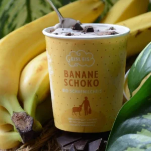 Eis Schafmilch Banane-Schokolade