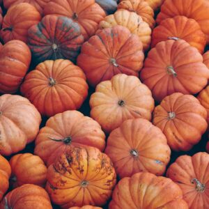 Kürbis Ofenkürbis orange, süß