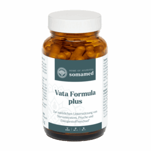 Vata Formula plus 120 Kapseln