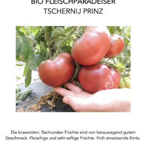 Paradeiser Tschernij Prinz Pflanze